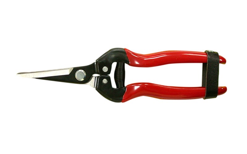  LONG FLORAL SHEARS