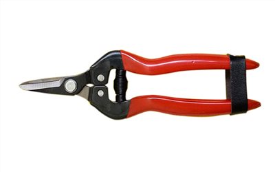 66-131  SHORT FLORAL SHEARS