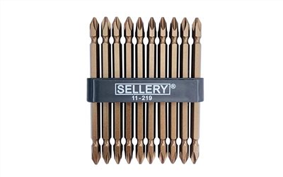11-219  10PC DOUBLE END POWER BITS